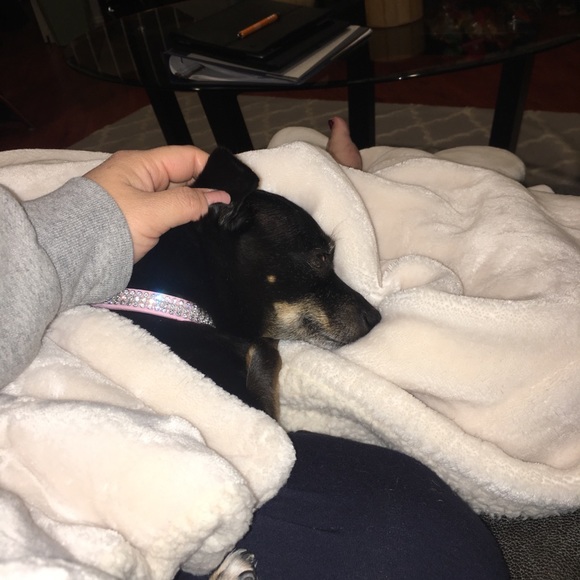 Meet your Posher - Picture 12 of 12